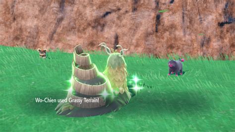 Grassy Terrain .